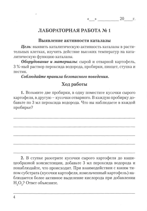 Биология. 11 класс. Тетрадь для лабораторных и практических работ по биологии для 11 класса. Базовый уровень. Школьная программа (2024) С.Г. Дубков, "Сэр-вит" С ГРИФОМ