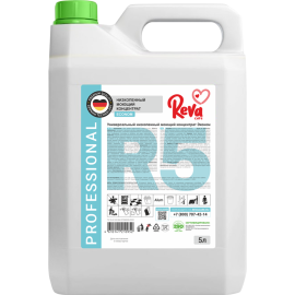 Моющий концентрат «ReVa Care» Эконом, Professional, R5, низкопенный, 5 л