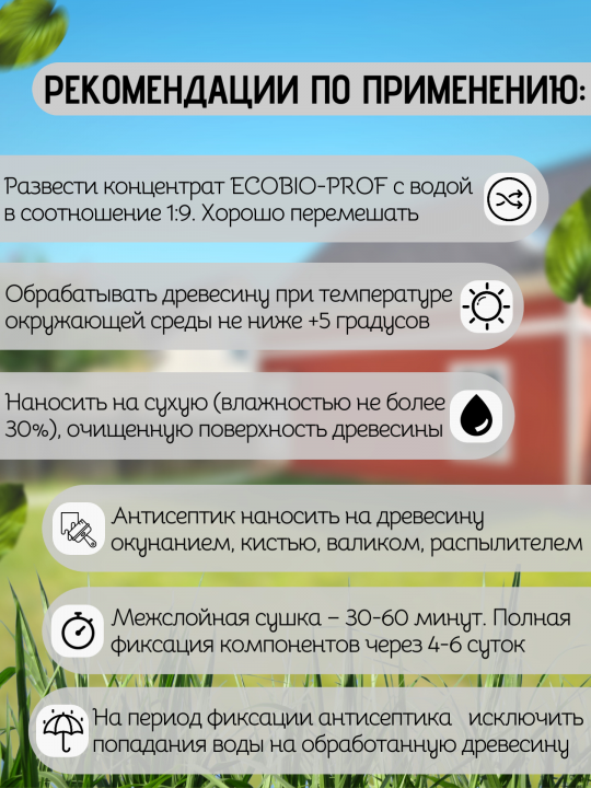 Антисептик для защиты древесины WOULDLIFE ECOBIO-PROF (концентрат 1:9, 50 л готового раствора), 5 л