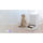 Умная кормушка для животных «Xiaomi» Smart Pet Food Feeder, BHR6143EU, white