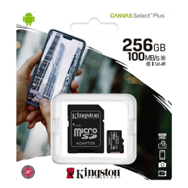 Карта памяти Kingston Canvas Select Plus microSDHC 256Gb (SDCS2/256GB)