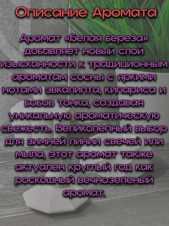 Аро­ма­ти­че­ская свеча в гип­со­вой шка­тул­ке "Рубин" с аро­ма­том "Белая береза"