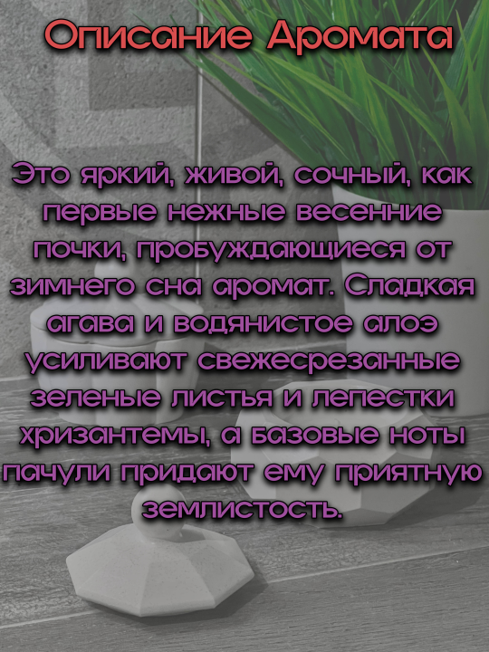 Аро­ма­ти­че­ская свеча в гип­со­вой шка­тул­ке "Рубин" с аро­ма­том "Цветок кактуса и нефрит"