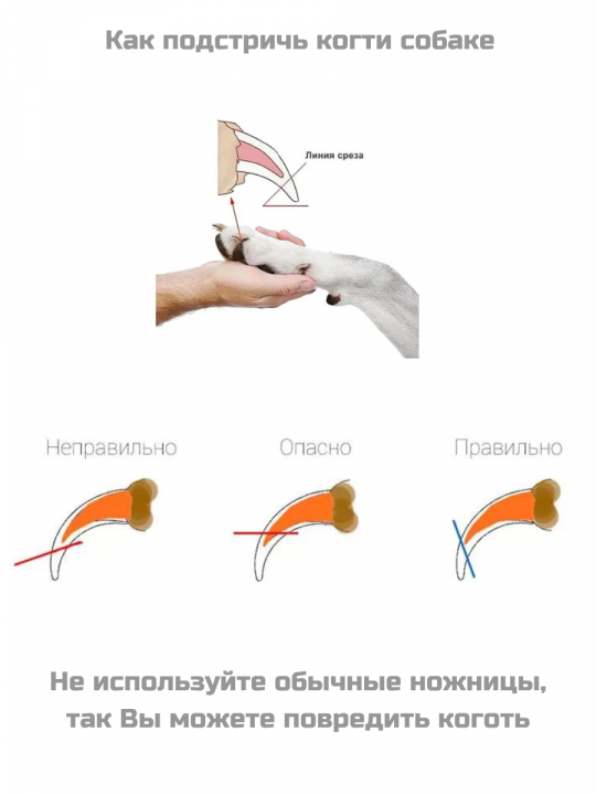 Когтерез-гильотина Стандарт 12,4 см