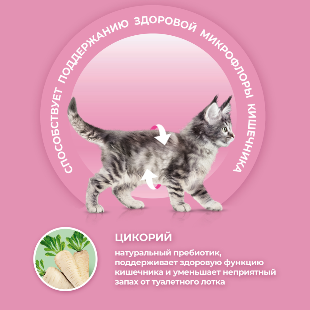 Корм для котят «Purina One» курица, 750 г #1