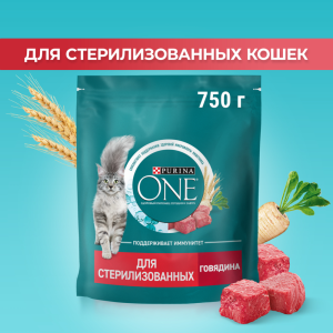 Кормдлякошек«PurinaOne»говядинаипшеница,750г