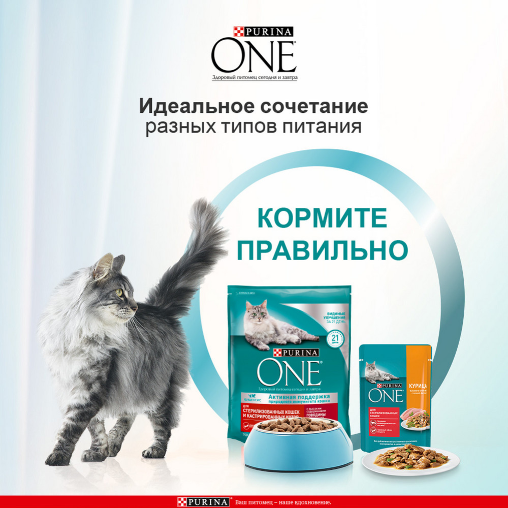 Корм для кошек «Purina One» говядина и пшеница, 750 г #3
