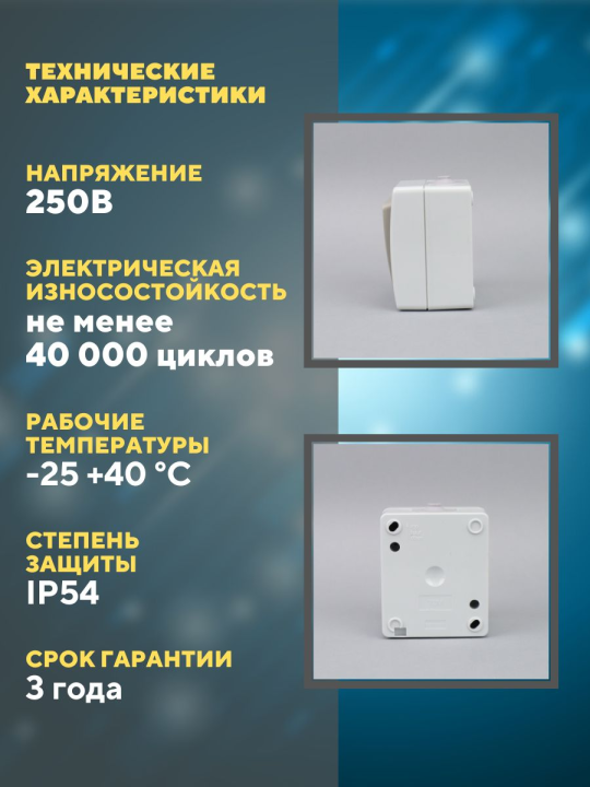 Выключатель 1-кл. открытой установки IP54 10А "Вуокса" TDM SQ1803-0001(2)