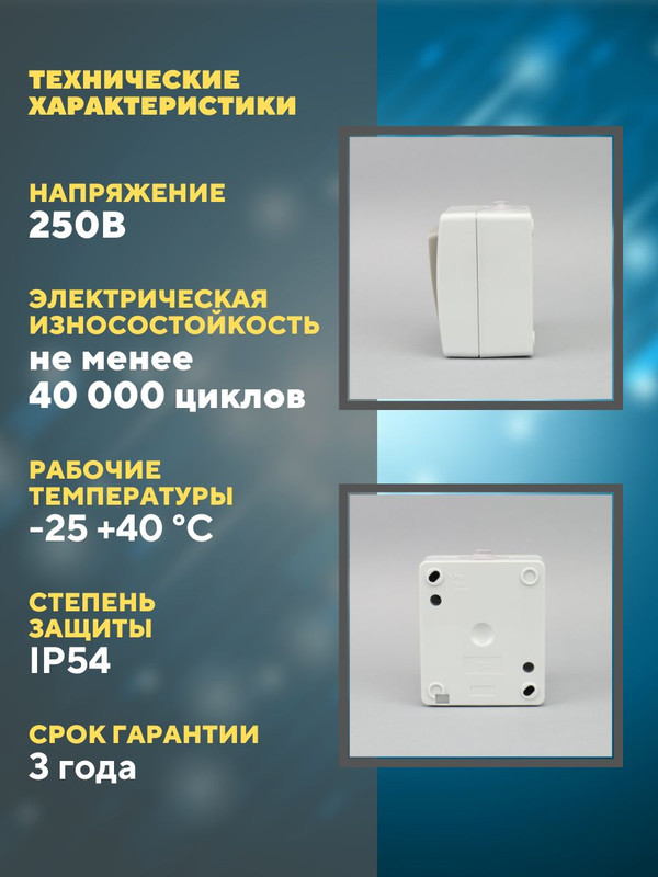 Выключатель 2-кл. (2шт) открытой установки IP54 10А "Вуокса" TDM SQ1803-0002(2)