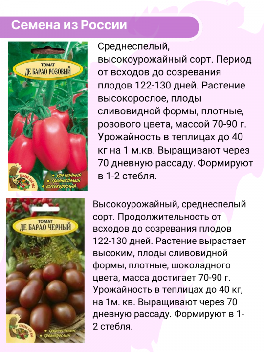 Семена томатов в наборе из 5 упаковок.