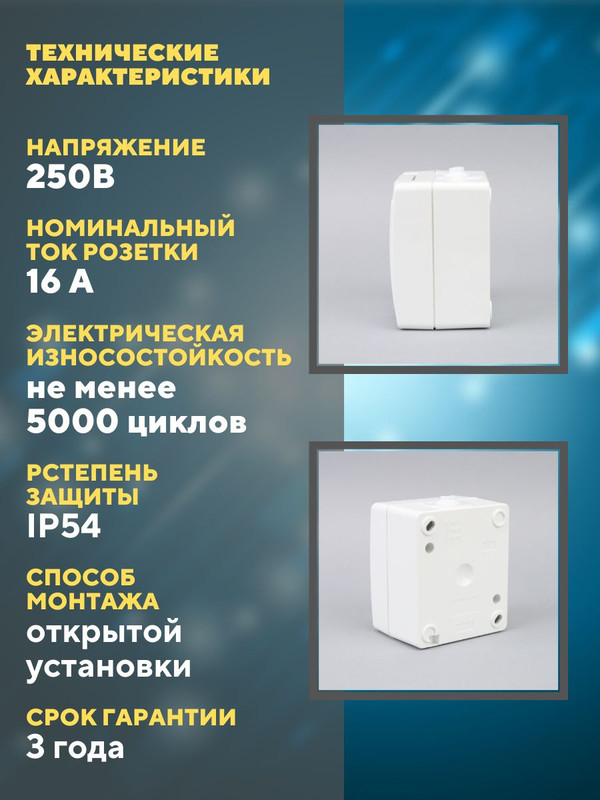 Розетка 2П+З (2шт) открытой установки IP54 16А белая "Вуокса" TDM SQ1803-1007(2)