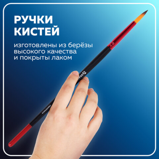 Кисти BRAUBERG PREMIUM, набор 5 шт. (синтетика, круглая № 1, 3, 5, плоская № 5, 8)