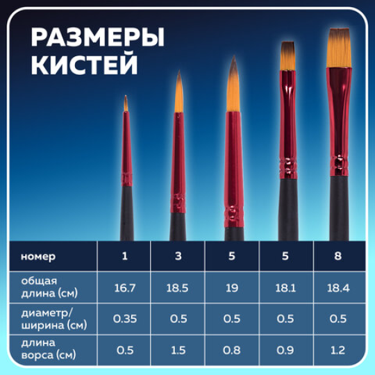 Кисти BRAUBERG PREMIUM, набор 5 шт. (синтетика, круглая № 1, 3, 5, плоская № 5, 8)