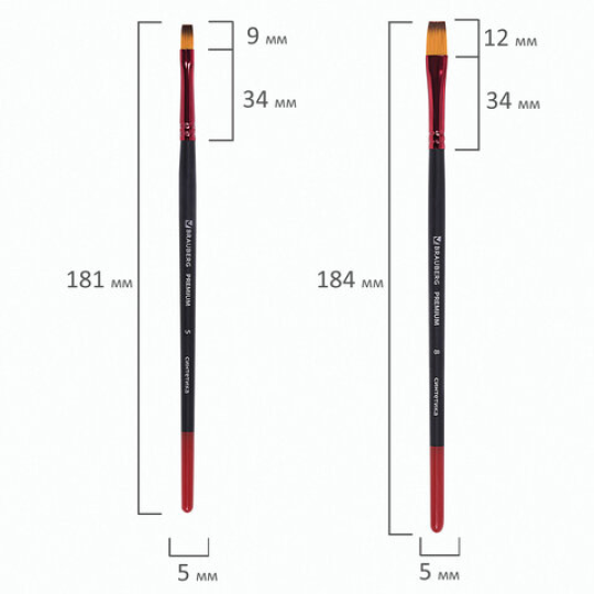 Кисти BRAUBERG PREMIUM, набор 5 шт. (синтетика, круглая № 1, 3, 5, плоская № 5, 8)