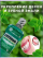 Ополаскиватель LISTERINE Freshburst 20.4% для полости рта