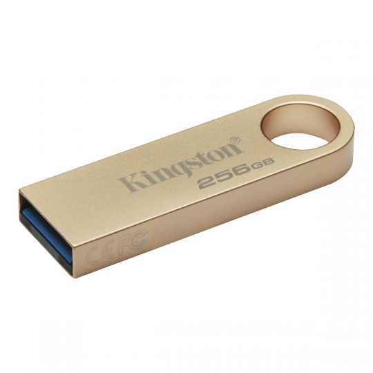 Флешка Kingston DataTraveler SE9 G3 256GB USB3.2