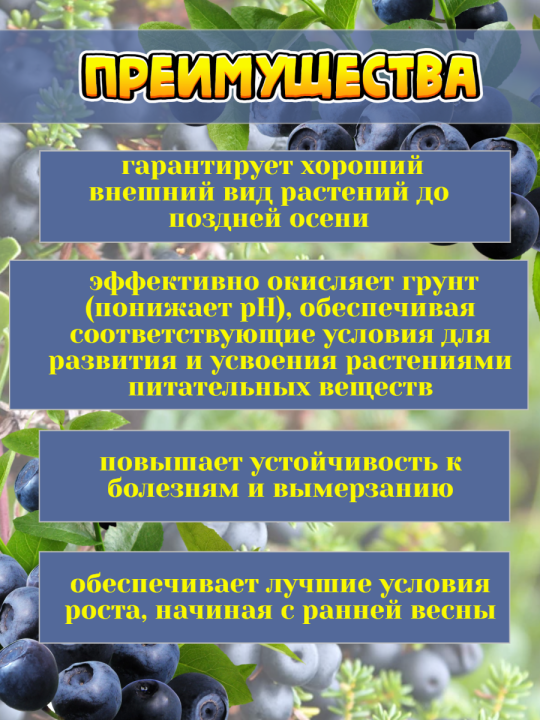 Осеннее удобрение для голубики и кислотолюбивых растений 3кг