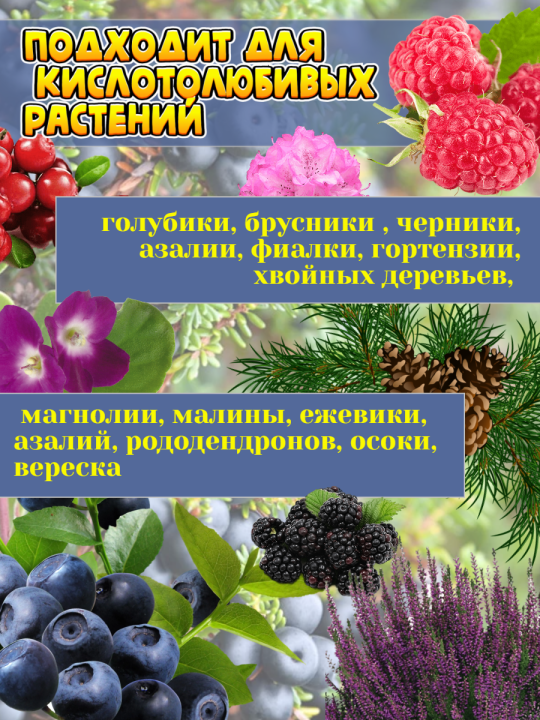 Осеннее удобрение для голубики и кислотолюбивых растений 3кг