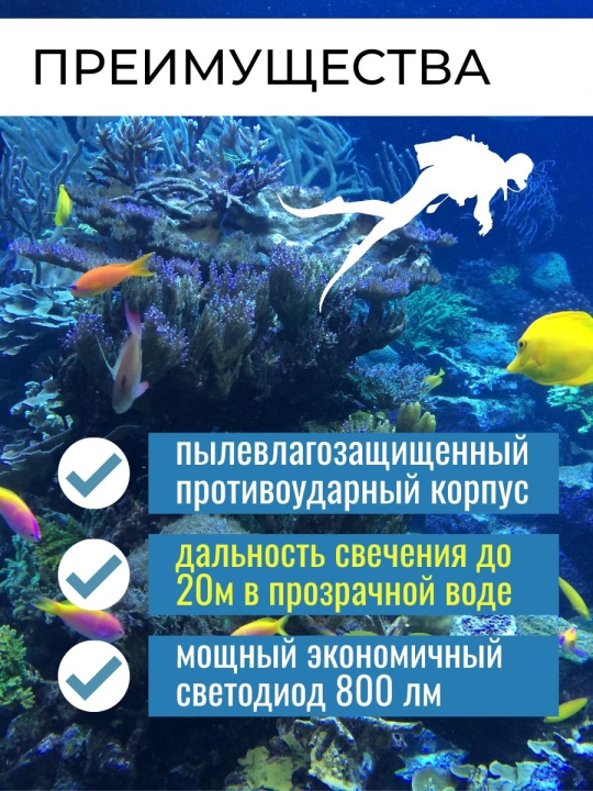 Фонарь «Титан 6» для дайвинга, 10 Вт CREE 800 лм, 4хАА, IPX8, до 100 м, TDM SQ0350-0066