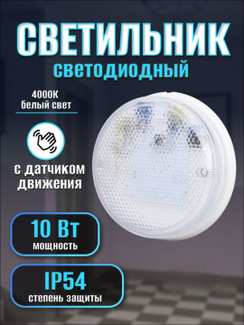 Светильник LED с датчиком движения ЖКХ ДБО-10-ФМ 10 Вт, 1300 лм, IP54 TDM SQ0329-1059