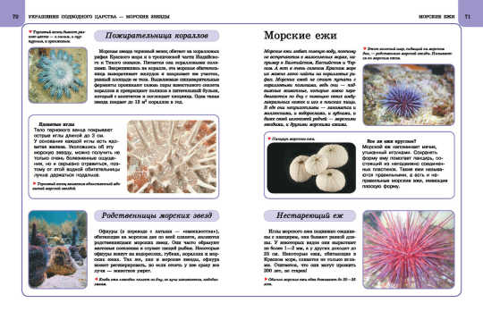 Книга энциклопедия для детей школьников Подводный мир