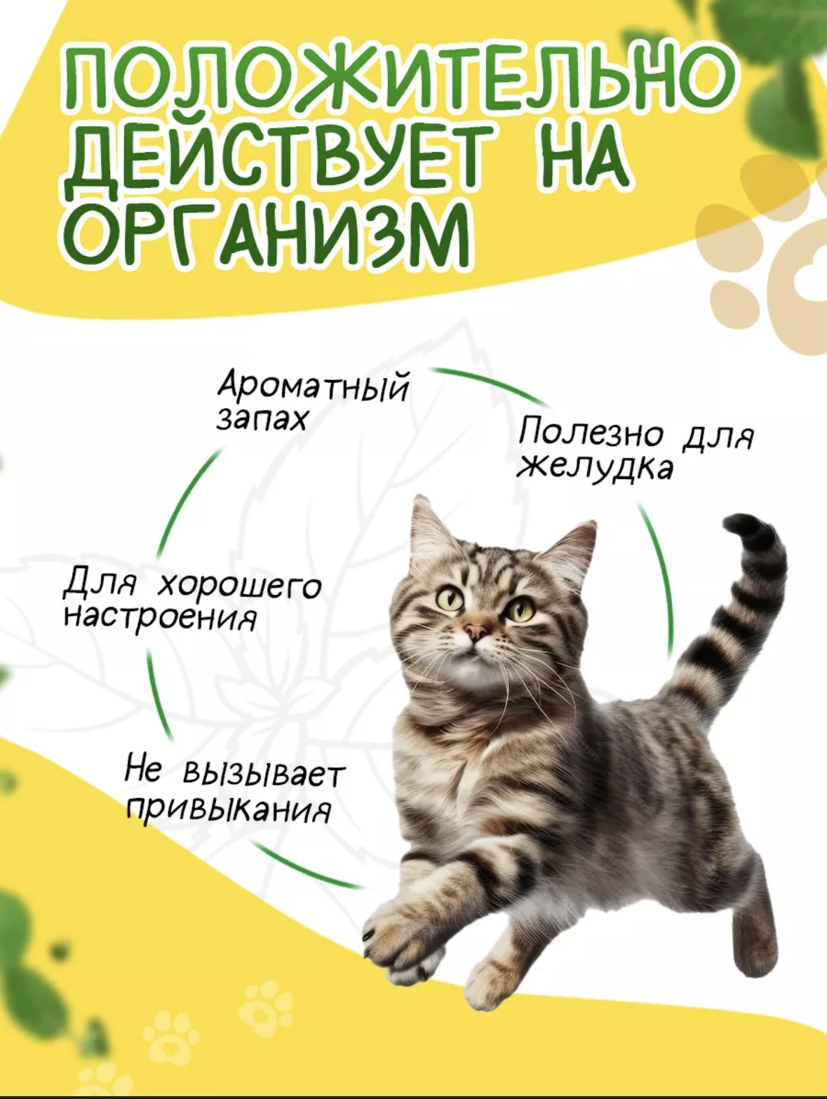 Игрушка для кошек Мятный шар Календула, корень солодки, 1шт