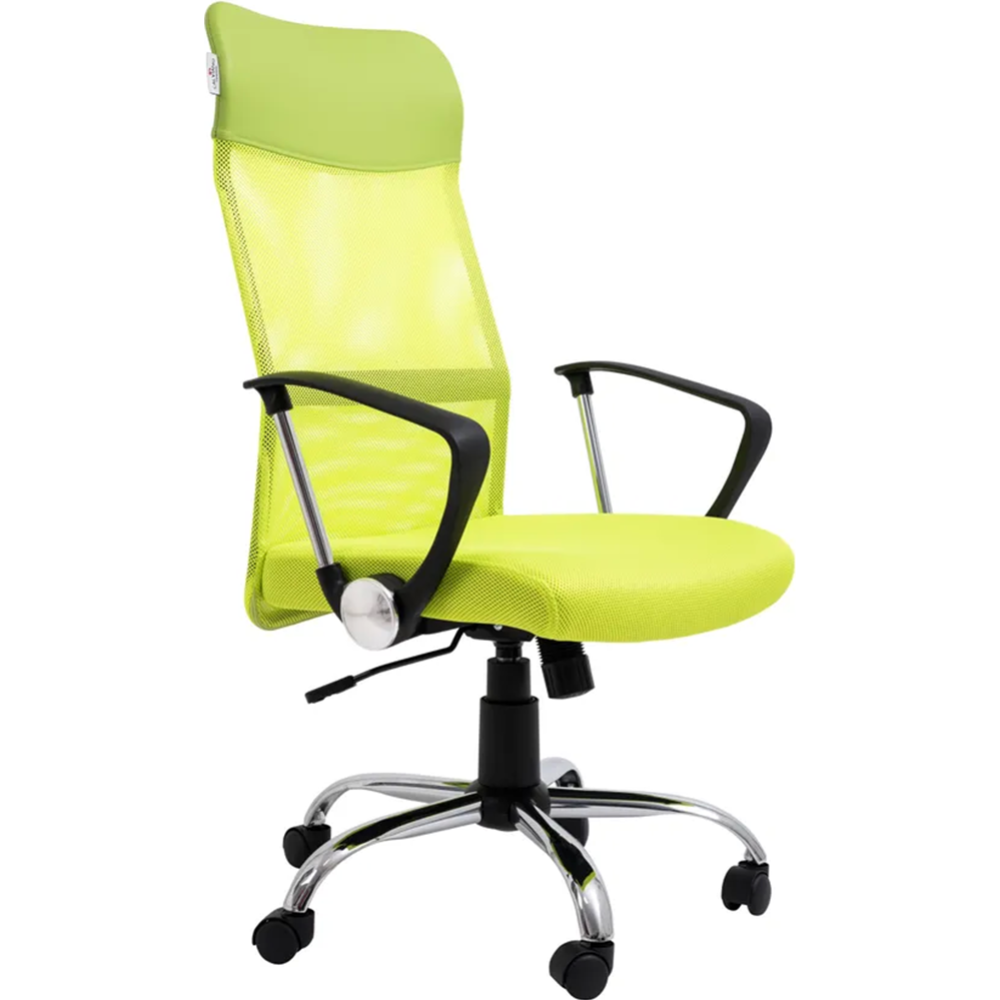 Офисное кресло «Calviano» Xenos, green