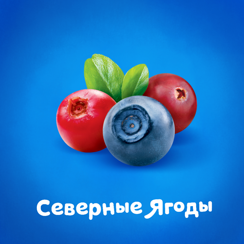 Йогурт питьевой «Агуша» иммунити, северные ягоды 2.7 %, 180 г #2