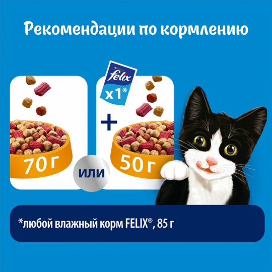 Корм для кошек «Felix» двойная вкуснятина, с мясом, 200 г