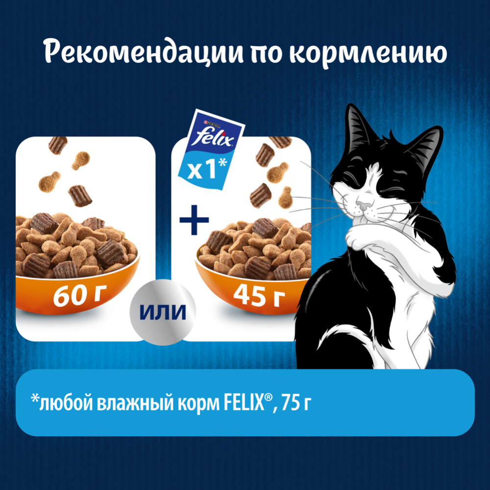 Корм для кошек «Felix» двойная вкуснятина, с птицей, 200 г