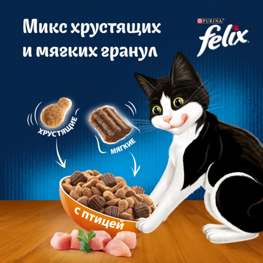 Корм для кошек «Felix» двойная вкуснятина, с птицей, 600 г