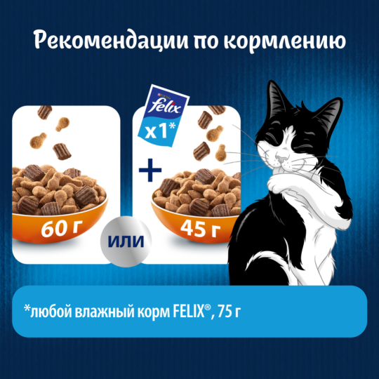 Корм для кошек «Felix» двойная вкуснятина, с птицей, 600 г