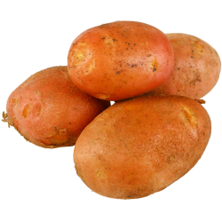 Кар­то­фель крас­ный ранний, 1 кг.  