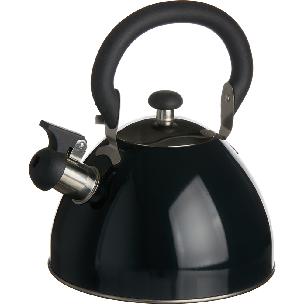 Чайник «Катунь» КТ-106D, чёрный, 2.5 л