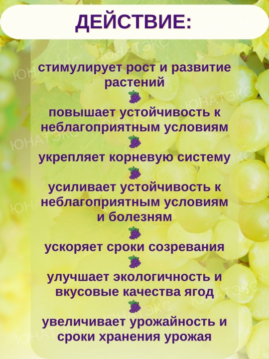 Удобрение для Винограда и жимолости Оксидат торфа 1л