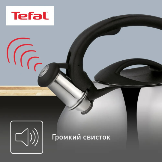 Чайник TEFAL для газовых плит C7922024