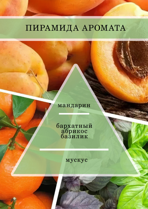 Аромамасло, Отдушка универсальная, Парфюмерно-косметическая Абрикос, базилик, мандарин 30 гр