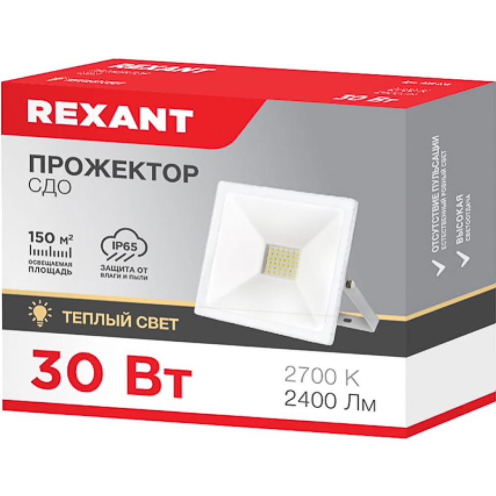 Прожектор «Rexant» 605-028