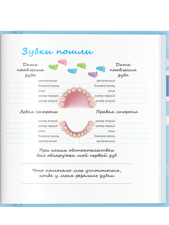 Фотоальбом детский для новорожденных. Первый альбом малыша