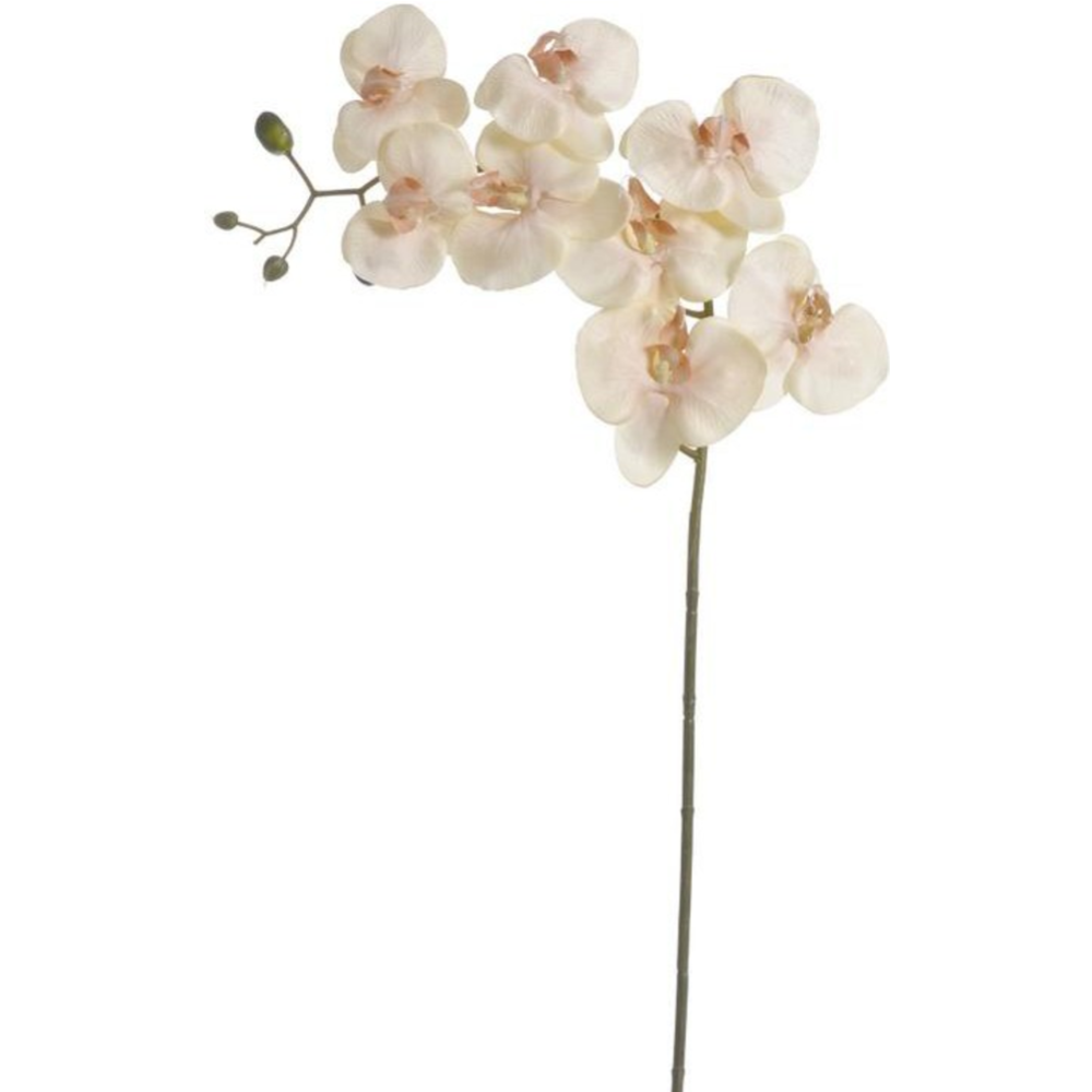 Искусственный цветок «Canea» Орхидея, 92CANY03001_10, 100 см
