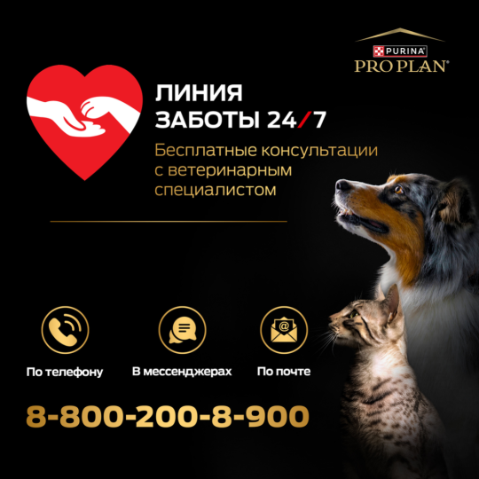 УП.Корм для кошек «Pro Plan» Delicate, с индейкой в соусе, 26х85 г