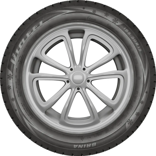 Зимняя шина «Viatti» Brina Nordico, V-522, 255/45R18, 103T, шипы