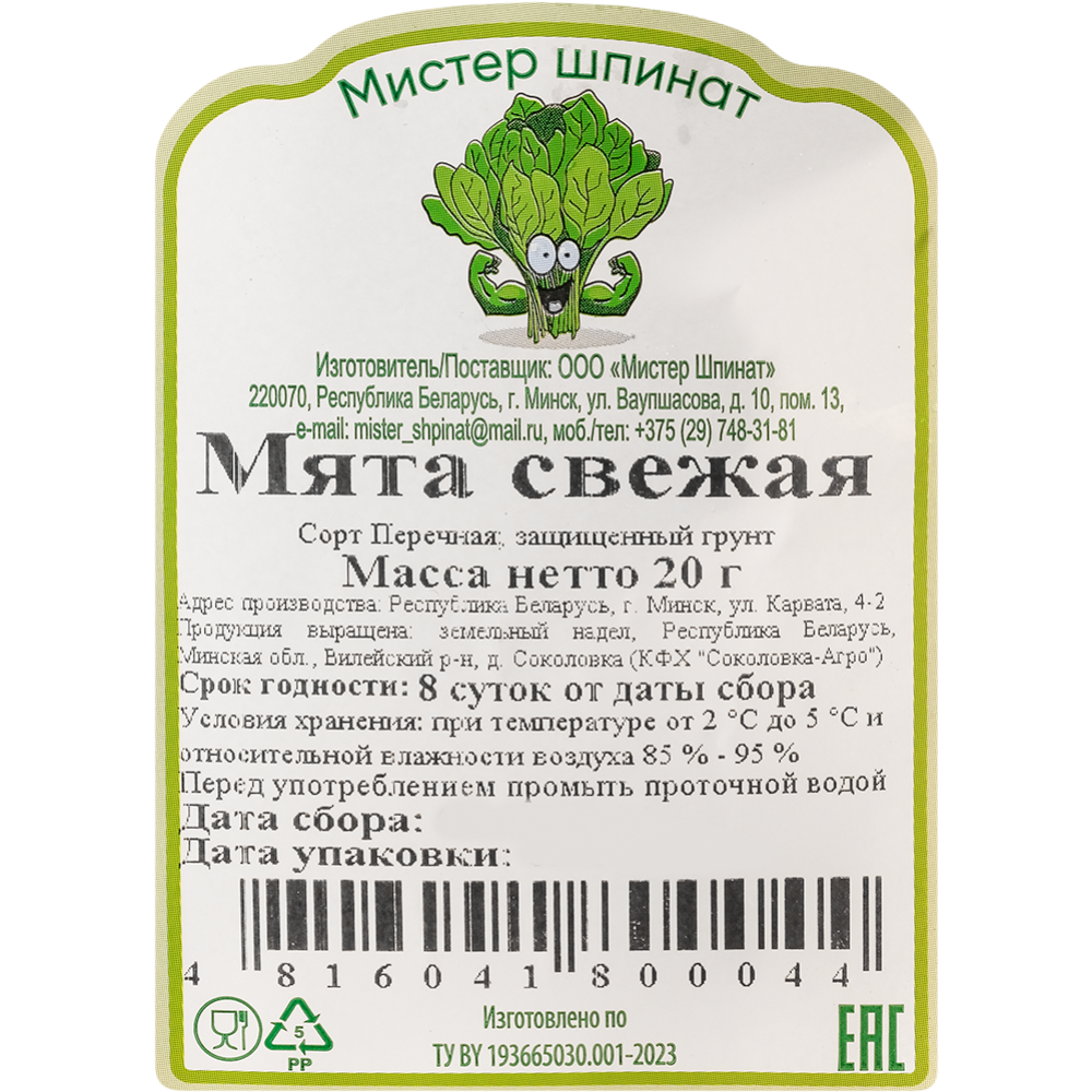 Мята «Мистер шпинат» в лотке, 20 г #1