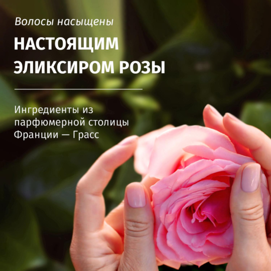 Подарочный набор «Herbal Essences» Аромат розы, шампунь для волос + бальзам-ополаскиватель для волос, 250+180 мл