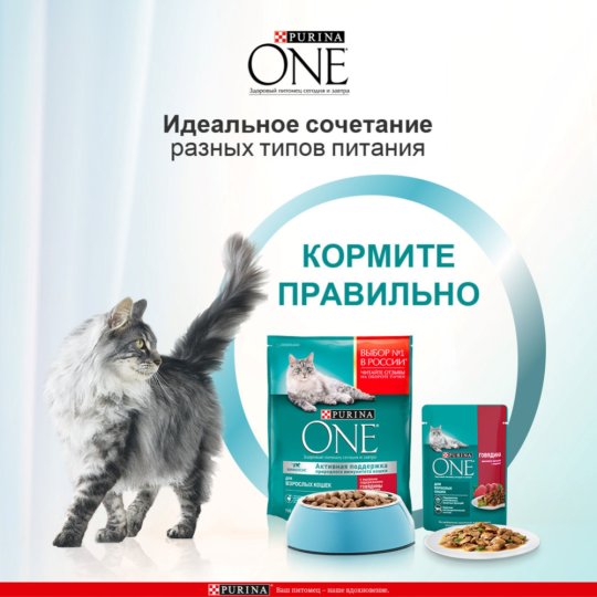 Корм для кошек «Purina One» с говядиной, 75 г