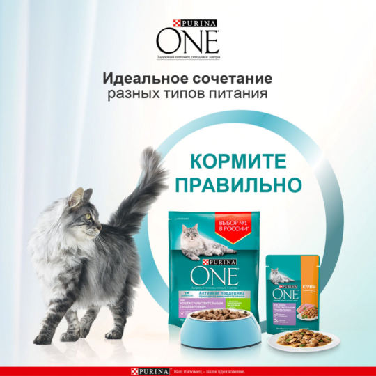 Корм для кошек «Purina One» с курицей, 75 г