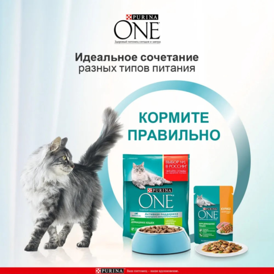 Корм для кошек «Purina Оne» с курицей и морковью, 75 г