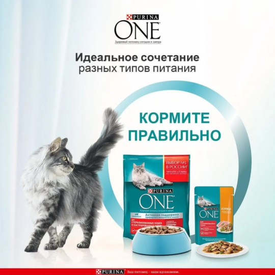 Корм для кошек «Purina One» с курицей, для стерилизованных, 75 г