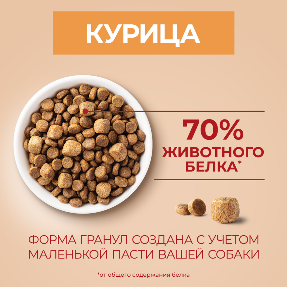 Корм для собак «Purina One» курица и рис, 600 г #6