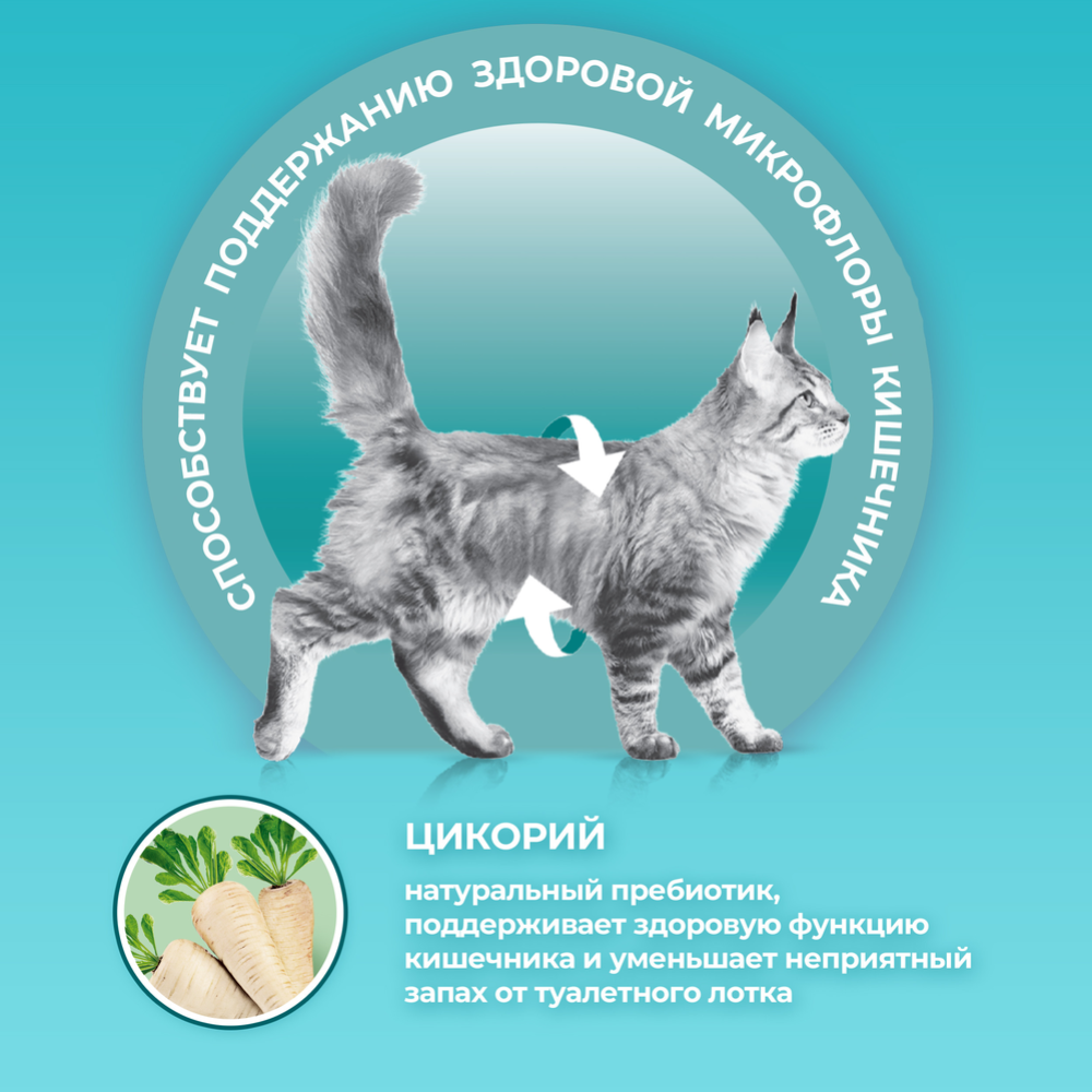 Корм для кошек «Purina One» c лососем и пшеницей, 200 г